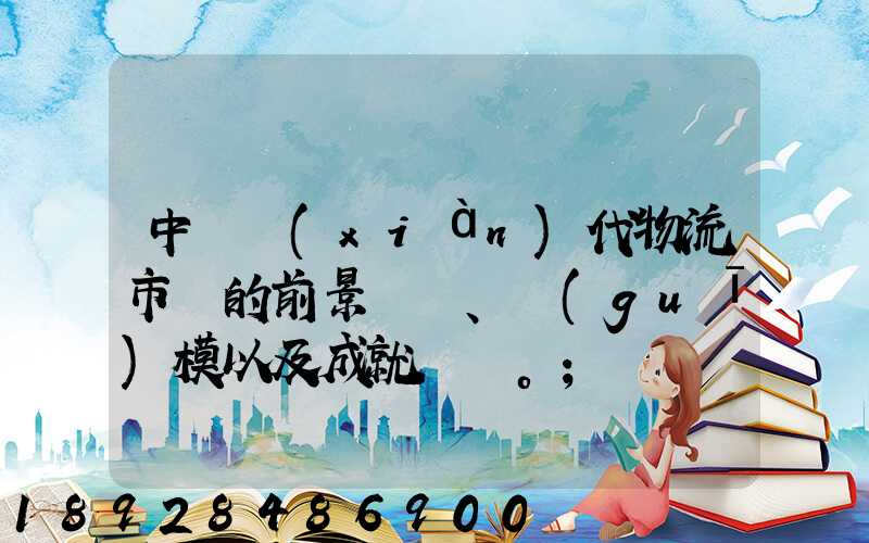 中國現(xiàn)代物流市場的前景、規(guī)模以及成就。